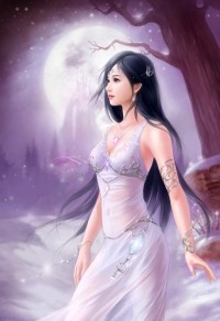 龙王传说之完美精灵